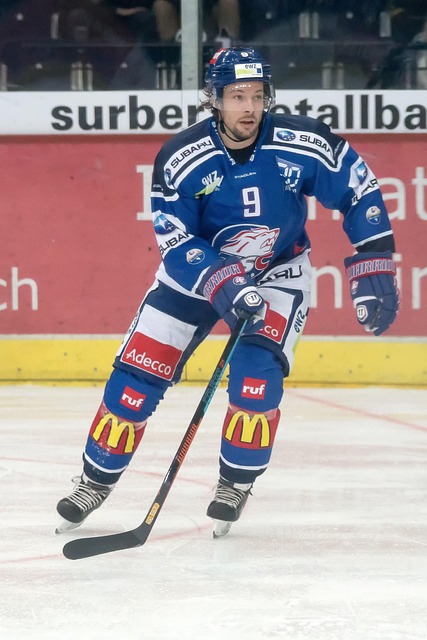 斯文登迅速 斯文登迅速